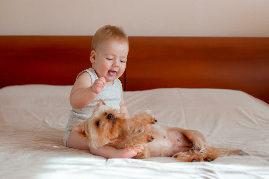 Imagem bebe-e-cachorro-pequeno 1